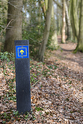 포토 JPG 해외이미지 나무 식물 길 스포츠 무늬 자국 자연 독일 풍경 사람없음 야외 초록색 여행객 봄 하이킹 경계선 역사 씻기 숲 네덜란드 지역 방패 루트 심기 해외202004 해외포토 계절 유럽 선 컬러 모션 레저 사람 청결 경계 생태계 파일형식 이미지허브