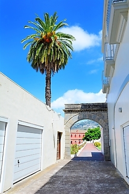 포토 JPG 해외이미지 나무 식물 구름 공원 꽃 길 바다 섬 여행 꽃무늬 자연 하늘 파노라마 손바닥 풍경 잔디 사람없음 건물 빨간색 초록색 파란색 컬러풀 정원 스페인 대문 계단식 대서양 로스앤젤레스 방법 스페인어 해외202004 해외포토 자연요소 건축물 손 공공시설 유럽 컬러 무늬 촬영기법 문 미국 생태계 파일형식 이미지허브