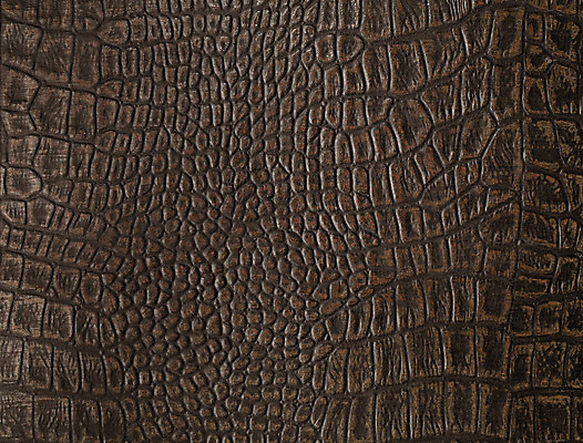 포토 JPG 해외이미지 백그라운드 사람없음 갈색 가죽 질감 합성 거짓 해외202004 해외포토 컬러 파일형식 이미지허브