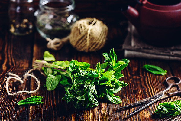 포토 JPG 해외이미지 식물 밧줄 음식 조각 꽃다발 백그라운드 잎 꽃무늬 재료 공 건강 사람없음 목재 초록색 여름 약 주방 정원 숟가락 나뭇가지 시골 신선 항아리 양념 닫기 코드 차 얽힘 냄비 다발 민트 허브 향신료 보따리 유기농 향기 아로마 향 노끈 내추럴 해외202004 스피아민트 해외포토 나무 웰빙 계절 꽃 음료 줄 컬러 무늬 의학 모션 수저 도자기 솥 냄새 향미료 파일형식 이미지허브