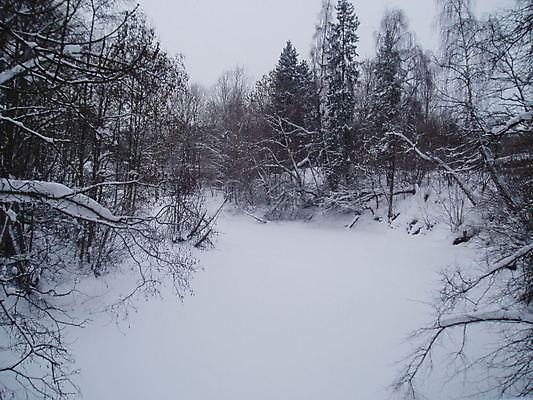포토 JPG 해외이미지 나무 여행 겨울 사람없음 강 추위 나뭇가지 사인 쇼 해외202004 해외포토 식물 계절 파일형식 이미지허브
