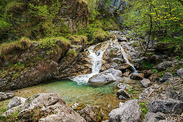 포토 JPG 해외이미지 나무 식물 공원 유럽 여행 백그라운드 자연 휴가 산 풍경 사람없음 야외 초록색 물 강 컬러풀 여행객 평화 환경 계곡 봄 이탈리아 폭포 흐름 가을 바위 흰색 신선 개울 급류 숲 작음 내추럴 생태학 해외202004 해외포토 자연요소 계절 공공시설 교육 나라 컬러 컨셉 사람 돌_바위 크기 생태계 파일형식 이미지허브