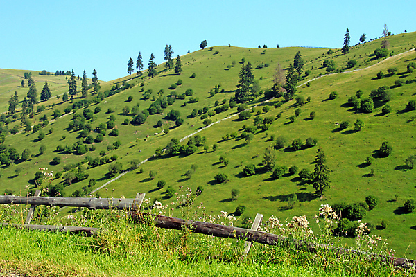 포토 JPG 해외이미지 식물 구름 계절 백그라운드 밭 농업 자연 하늘 날씨 풍경 잔디 사람없음 야외 초록색 여름 파란색 빛 컬러풀 태양 농장 환경 맑음 봄 흰색 시골 신선 땅 장면 내추럴 밭일 파라다이스 평야 수평선 해외202004 해외포토 자연요소 산업 컬러 생태계 파일형식 이미지허브