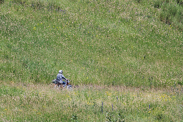 포토 JPG 해외이미지 1 남자 도로 스포츠 교통시설 자연 산 사람 풍경 사람없음 야외 초록색 운전 오토바이 운전사 숲 헬멧 언덕 해외202004 해외포토 직업 길 컬러 교통 모션 바이크 보호장비 시설 생태계 파일형식 이미지허브
