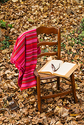 포토 JPG 해외이미지 안경 낙엽 잎 의자 자연 사람없음 야외 책 독서 가을 시골 클래식 담요 문학 해외202004 해외포토 식물 잡화 계절 가구 컨셉 생태계 파일형식 이미지허브