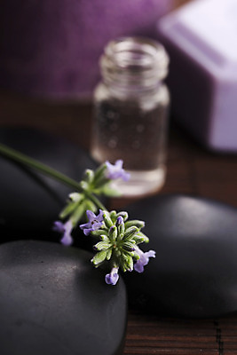 포토 JPG 해외이미지 바다 잎 신체 자연 휴식 건강 사람없음 치료 초록색 약 상점 검은색 스파 어둠 침묵 목욕 화장품 신선 사발 고급 닫기 선택 상품 허브 대나무 순수 향기 아로마 소금 비누 향 아로마테라피 라벤더 내추럴 돌봄 화상 해외202004 해외포토 나무 식물 꽃 컬러 컨셉 의학 모션 위생용품 뷰티 소리 청결 사기그릇 상처 생태계 냄새 테라피 파일형식 이미지허브