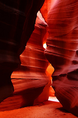 포토 JPG 해외이미지 공원 여행 오렌지 자연 풍경 사람없음 야외 빨간색 빛 환경 골짜기 미국 황무지 부식 영양 장면 지역 애리조나 서식지 부족 내추럴 생태학 해외202004 해외포토 공공시설 교육 컬러 컨셉 북아메리카 과일 생태계 파일형식 이미지허브
