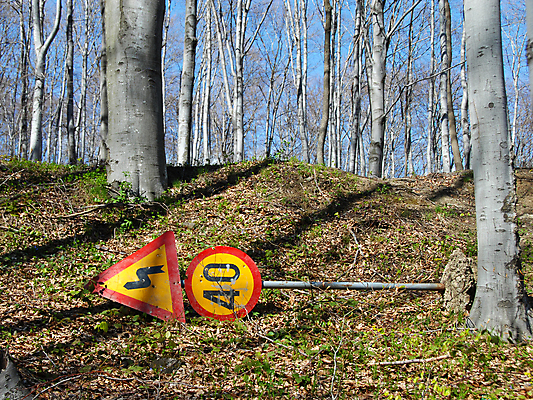 포토 JPG 해외이미지 나무 공원 도로 잎 곡선 자연 하늘 건조 경고 사람없음 야외 가로 빨간색 파란색 햇빛 노란색 맑음 봄 회색 원형 떨어짐 숲 위험 언덕 속도 신호 서명 내추럴 거짓말 옛날 콘크리트 한계 해외202004 해외포토 도형 식물 계절 공공시설 길 선 컬러 컨셉 교통시설 날씨 태양 생태계 파일형식 이미지허브