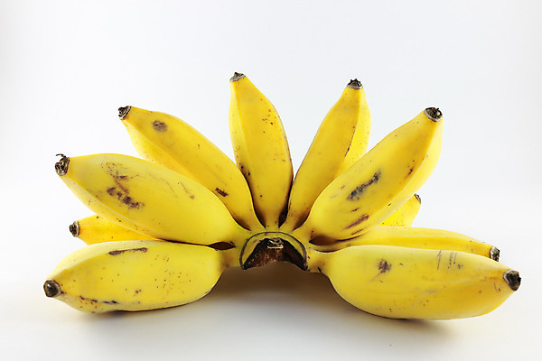 포토 JPG 해외이미지 나무 식물 길 음료 음식 백그라운드 잎 패턴 다이어트 과일 자연 바나나 건강 사람없음 노란색 껍질 흰색 나뭇가지 원숭이 신선 오픈 그룹 달콤 맛 아침식사 자르기 먹기 피부 오브젝트 상쾌 유기농 질감 내추럴 고립 숙성 해외202004 해외포토 웰빙 감정 컬러 컨셉 무늬 포유류 모션 신체부위 식사 생태계 파일형식 이미지허브