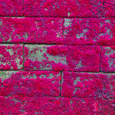 포토 JPG 해외이미지 벽 백그라운드 패턴 건축양식 표면 벽돌 주택 사람없음 건물 장식 우주 페인트 블록 흰색 시골 묘사 질감 시멘트 점토 벽돌담 직사각형 고체 옛날 줄서기 해외202004 해외포토 도형 건축물 건축 컬러 무늬 모션 담장 파일형식 이미지허브