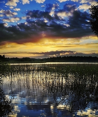 포토 JPG 해외이미지 나무 구름 분홍색 밭 자연 지팡이 하늘 날씨 휴식 갈대 풍경 사람없음 여름 파란색 태양 어둠 침묵 봄 시골 저녁 숲 즐거움 넘어짐 생태학 해외202004 해외포토 자연요소 식물 계절 교육 감정 컬러 컨셉 농업 모션 소리 야간 생태계 파일형식 이미지허브