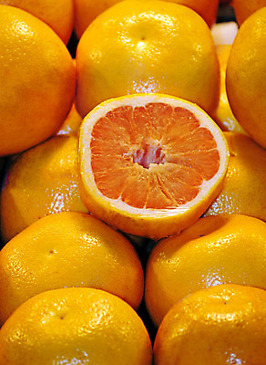 포토 JPG 해외이미지 음식 농업 오렌지 과일 귤 사람없음 신선 시장 달콤 유기농 해외202004 해외포토 웰빙 산업 맛 파일형식 이미지허브