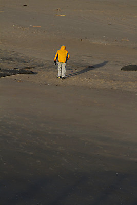 포토 JPG 해외이미지 주간 계절 겨울 조류 사람 성인 사람없음 야외 걷기 산책 사막 코트 가을 뉴욕 해외202004 해외포토 자연요소 동물 모션 휴식 미국 외투 파일형식이미지허브 
