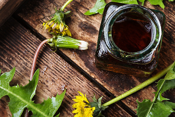 포토 JPG 해외이미지 식물 꽃잎 꽃 음료 잎 건강 사람없음 치료 초록색 약 노란색 들꽃 벚꽃 시골 신선 개화 약초 질병 민들레 약국 허브 레시피 테라피 치료제 해외202004 해외포토 컬러 의학 뷰티 풀_식물 파일형식 이미지허브