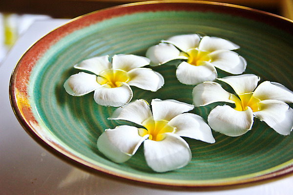 포토 JPG 해외이미지 식물 라이프스타일 웰빙 꽃잎 꽃 백그라운드 컨셉 꽃무늬 신체 자연 휴식 실내 건강 사람없음 물 여름 빛 수건 노란색 우주 스파 침묵 목욕 욕실 벚꽃 물방울 신선 마사지 그룹 상품 매끈함 작음 수집 향수 순수 오브젝트 질감 아로마 부드러움 아로마테라피 테라피 돌봄 샤워실 위생관리 이국적 전경 해외202004 해외포토 자연요소 계절 컬러 무늬 모션 관리 풍경 내부 생활 위생용품 뷰티 소리 청결 화장품 감각 크기 생태계 샤워시설 파일형식 탑뷰 이미지허브