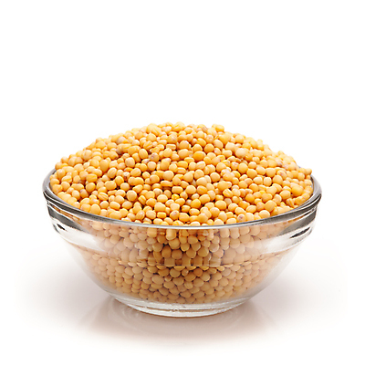 포토 JPG 해외이미지 그릇 사람없음 흰색 낟알 향신료 겨자씨 해외202004 해외포토 식기 컬러 씨앗 향미료 파일형식 이미지허브