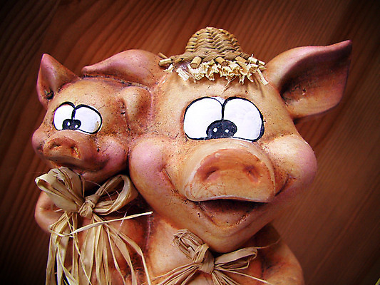 포토 JPG 해외이미지 동물 디자인 응시 행복 추상 선물 미소 웃음 사람없음 장식 장난감 축제 기쁨 축하 돼지 행운 유머 밀짚 해외202004 해외포토 시선 감정 컨셉 무늬 포유류 표정 짚 파일형식 이미지허브