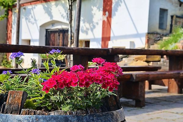 포토 JPG 해외이미지 식물 꽃 화분 벽 백그라운드 자연 날씨 통 사람없음 야외 목재 장식 빨간색 세로 초록색 컬러풀 한개 햇빛 갈색 와인 정원 수확 골동품 흰색 농촌 시골 컨테이너 오브젝트 부식 싱글 수납 구식 옛날 제라늄 해외202004 해외포토 나무 1 산업 컬러 농업 재료 주류 태양 생태계 파일형식 이미지허브