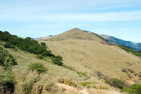 포토 JPG 해외이미지 나무 구름 자연 산 풍경 사람없음 중국 소나무 숲 해외202004 해외포토 자연요소 식물 아시아 생태계 파일형식 이미지허브