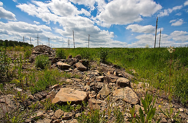 포토 JPG 해외이미지 식물 구름 계절 꽃 자연 하늘 풍경 사람없음 여름 파란색 묘사 그림 러시아 해외202004 해외포토 자연요소 유럽 컬러 생태계 파일형식 이미지허브