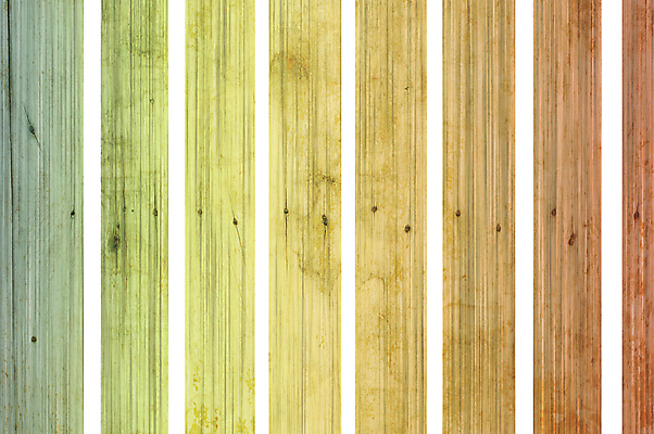 포토 JPG 해외이미지 나무 식물 디자인 벽 여행 백그라운드 패턴 건축양식 자연 벽지 표면 추상 바닥 사람없음 목재 장식 빨간색 갈색 어둠 수확 골동품 소나무 판넬 거친 닫기 널 낟알 심볼 묘사 질감 복고 그런지 깨짐 수목 옛날 스타일 해외202004 해외포토 건축 컬러 컨셉 무늬 농업 재료 모션 생태계 파일형식 이미지허브