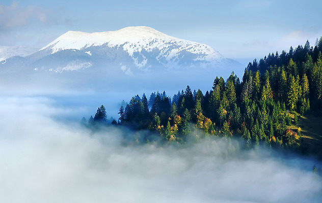 포토 JPG 해외이미지 나무 식물 구름 계절 공원 여행 백그라운드 겨울 자연 하늘 아침 산 풍경 사람없음 야외 가로 초록색 빛 햇빛 일출 환경 계곡 일몰 새벽 추위 안개 가을 시골 황무지 정상 저녁 숲 언덕 장면 내추럴 절정 해외202004 해외포토 주간 자연요소 공공시설 컬러 날씨 태양 노을 야간 생태계 파일형식 이미지허브