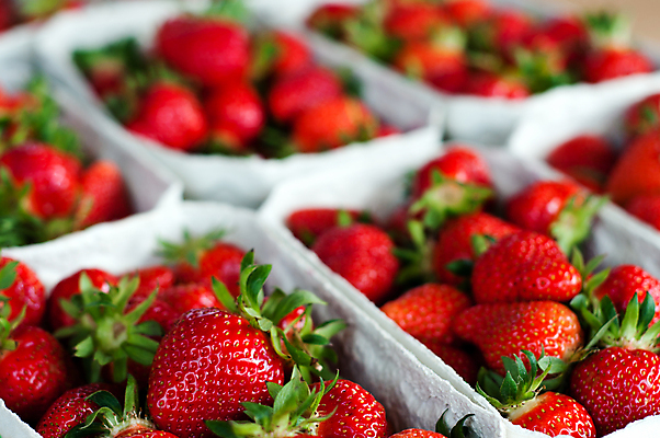 포토 JPG 해외이미지 식물 라이프스타일 계절 열매 음식 백그라운드 잎 밭 농업 다이어트 과일 자연 딸기 디저트 건강 요리 씨앗 사람없음 초록색 여름 농장 봄 수확 성장 신선 선택 달콤 맛 설탕 먹기 유기농 포도나무 성분 내추럴 밭일 숙성 해외202004 해외포토 웰빙 산업 컬러 컨셉 모션 생활 과일나무 생태계 파일형식 이미지허브