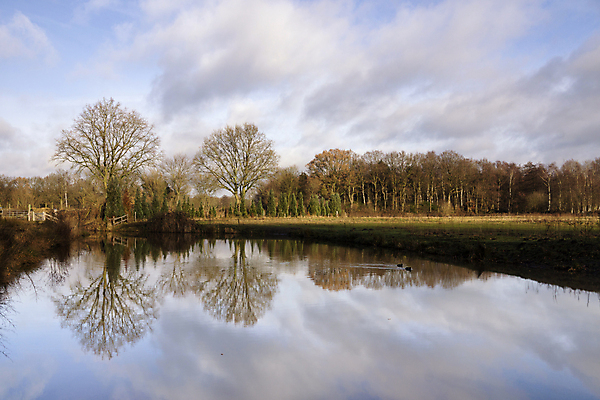포토 JPG 해외이미지 나무 구름 겨울 사람없음 물 반사 연못 성 숲 네덜란드 해외202004 해외포토 자연요소 식물 건축물 계절 유럽 파일형식 이미지허브