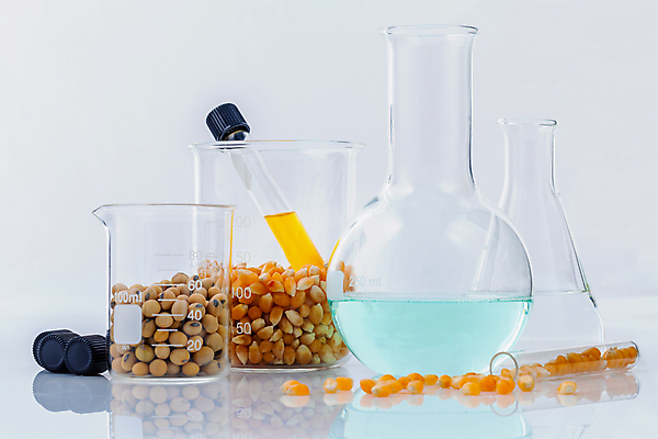 포토 JPG 해외이미지 식물 라이프스타일 디자인 음식 과학 컨셉 농업 자연 생물 건강 실험 씨앗 안전 사람없음 초록색 농작물 실험실 상품 DNA 생명공학 낟알 밀 먹기 과학자 유기농 생물학 공학 내추럴 무료 바이오 유전 유전자변형 조작 화학물질 해외202004 해외포토 직업 웰빙 교육 산업 컬러 의학 모션 곡류 생활 화학 생태계 학자 파일형식 이미지허브