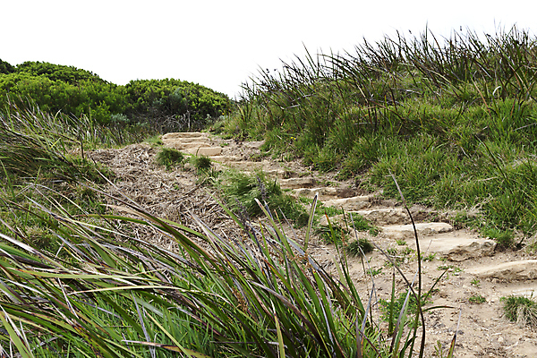 포토 JPG 해외이미지 공원 길 모래 바다 여행 풍경 사람없음 야외 평화 붓 호주 고독 오솔길 단계 내추럴 고립 루트 멜버른 해외202004 해외포토 공공시설 감정 컨셉 오세아니아 파일형식 이미지허브