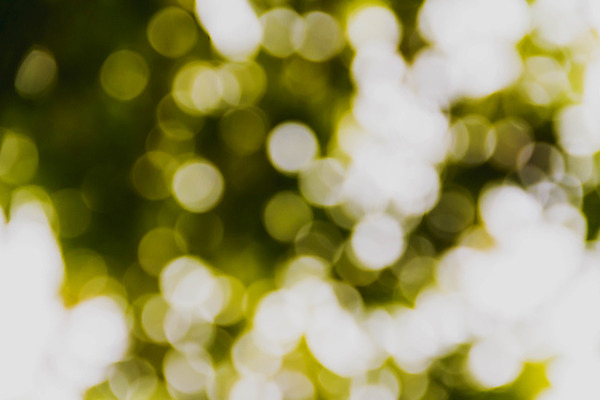 포토 JPG 해외이미지 나무 식물 디자인 백그라운드 컨셉 패턴 자연 추상 사람없음 아웃포커스 초록색 파란색 빛 울타리 햇빛 노란색 활발 거품 흰색 원형 소프트포커스 질감 보케 내추럴 블러 해외202004 해외포토 도형 컬러 무늬 촬영기법 담장 태양 생태계 파일형식 이미지허브