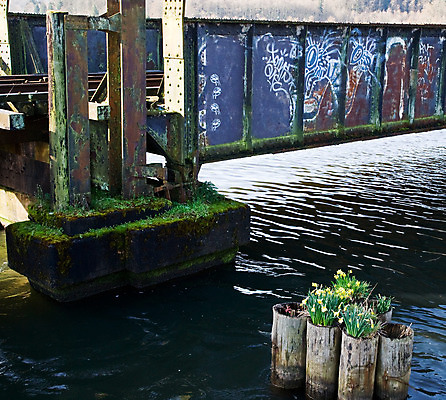 포토 JPG 해외이미지 꽃 사람없음 물 노란색 페인트 그래피티 부식 그런지 옛날 해외202004 해외포토 자연요소 식물 컬러 낙서 그림 파일형식 이미지허브