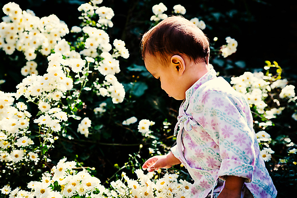 포토 JPG 해외이미지 백인 1 전통 라이프스타일 계절 꽃 어린이 분홍색 국화 한명 사람 소년 야외 정원 맑음 가을 흰색 아기 싱글 데이지 네팔 걸음마 섞기 카트만두 혼혈 해외202004 해외포토 서양인 식물 남자 아시아 컬러 모션 날씨 생활 다문화 파일형식 이미지허브