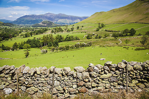 포토 JPG 해외이미지 영어 공원 유럽 호수 자연 하늘 영국 잉글랜드 산 파노라마 풍경 사람없음 여름 계곡 침묵 큼 지역 전국 컴브리아주 해외202004 해외포토 문자 계절 공공시설 나라 촬영기법 소리 크기 생태계 파일형식 이미지허브