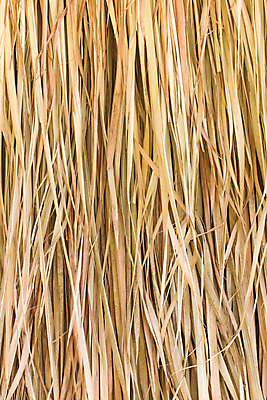 포토 JPG 해외이미지 식물 외관 백그라운드 잎 패턴 밭 농업 자연 벽지 표면 건조 사람없음 쌓기 새싹 수확 나뭇가지 시골 원형 건초더미 볏짚 저녁 먹이 밀 질감 윤곽 안심 뭉치 밀짚 볏집 호밀 해외202004 해외포토 도형 나무 산업 무늬 모션 곡류 건초 짚 밤 야간 생태계 파일형식 더미 이미지허브