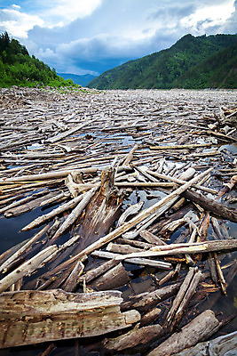 포토 JPG 해외이미지 나무 산업 자연 표면 산 풍경 사람없음 야외 목재 물 강 쌓기 환경 저수지 황무지 숲 강가 댐 날것 통나무 잡동사니 벌목 생태학 시베리아 해외202004 해외포토 자연요소 식물 공공시설 교육 재료 모션 생태계 파일형식 이미지허브