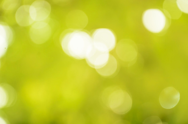 포토 JPG 해외이미지 식물 디자인 계절 백그라운드 잎 크리스마스 패턴 자연 하늘 추상 사람없음 빨간색 초록색 여름 빛 컬러풀 햇빛 환경 맑음 봄 활발 소프트포커스 숲 질감 보케 부드러움 내추럴 광 블러 생태학 효과 해외202004 해외포토 교육 기념일 컬러 컨셉 무늬 날씨 촬영기법 태양 감각 생태계 파일형식 이미지허브