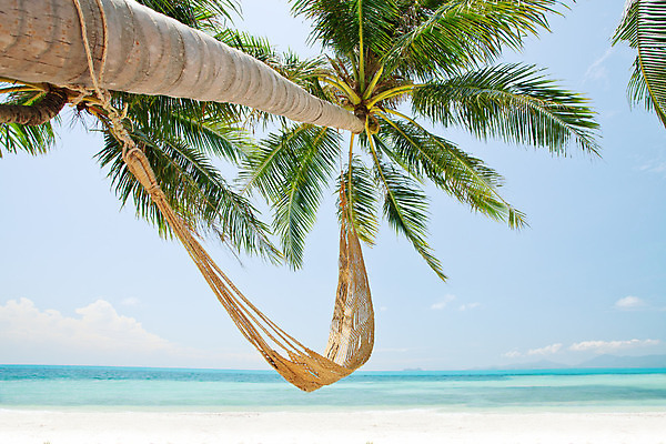 포토 JPG 해외이미지 라이프스타일 바다 여행 자연 휴가 휴식 손바닥 사람없음 물 태양 기쁨 꿈 휴게실 고독 그네 휴양지 해먹 이국적 파라다이스 해외202004 해외포토 자연요소 손 감정 컨셉 생활 장소 침대 생태계 파일형식 이미지허브