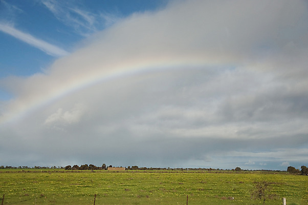 포토 JPG 해외이미지 백그라운드 무지개 오렌지 자연 풍경 사람없음 컬러풀 호주 해외202004 해외포토 자연요소 컬러 과일 오세아니아 생태계 파일형식 이미지허브