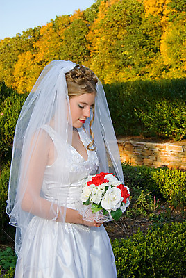 포토 JPG 해외이미지 여자 꽃다발 웨딩드레스 결혼 잎 한명 가을 베일 해외202004 해외포토 식물 1 드레스 계절 꽃 사람 이벤트 파일형식 이미지허브