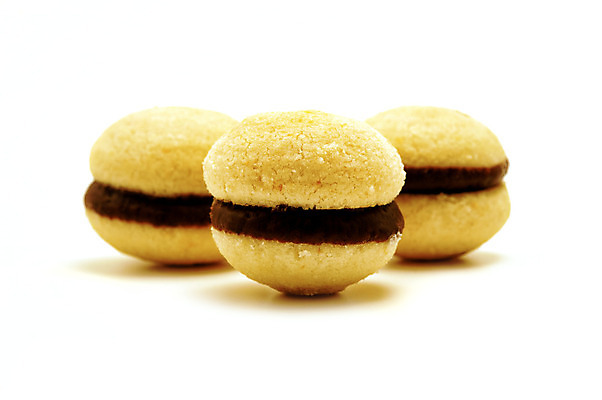 포토 JPG 해외이미지 스튜디오촬영 사람없음 닫기 자르기 흰배경 고립 정물화 해외202004 해외포토 백그라운드 모션 실내 흰색 그림 파일형식 이미지허브