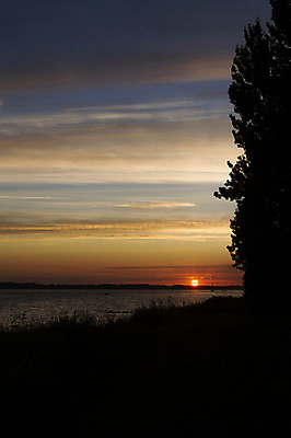포토 JPG 해외이미지 나무 식물 실루엣 호수 자연 덴마크 그림자 풍경 사람없음 물 햇빛 태양 노란색 황혼 일몰 나뭇가지 농촌 숲 그늘 해외202004 해외포토 자연요소 컬러 촬영기법 북유럽 노을 시골 생태계 파일형식 이미지허브