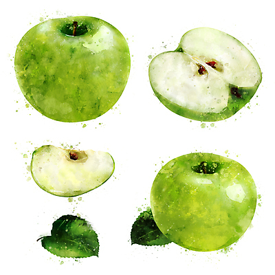 포토 JPG 해외이미지 과일 일러스트 사람없음 사과 청사과 해외202004 해외포토 파일형식 이미지허브