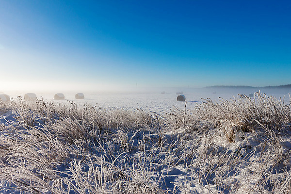 포토 JPG 해외이미지 나무 구름 계절 겨울 밭 농업 자연 하늘 거리 주택 파노라마 풍경 경사 사람없음 초록색 파란색 농작물 컬러풀 농장 환경 얼음 수확 안개 가을 시골 신선 볏짚 숲 시리얼 밀 롤 지역 전나무 뭉치 밀짚 까마귀 밭일 스칸디나비아 에스토니아 수평선 해외202004 해외포토 자연요소 식물 유럽 산업 음식 컬러 조류 날씨 곡류 촬영기법 건물 짚 생태계 파일형식 이미지허브