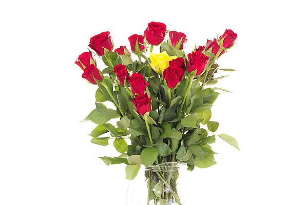 포토 JPG 해외이미지 식물 기념일 꽃 꽃다발 결혼 잎 결혼식 휴가 발렌타인데이 선물 사랑 이벤트 사람없음 장식 빨간색 장미 노란색 파티 기쁨 축하 인사 생일 맛 다발 꽃집 심볼 향수 열정 애도 약혼 장례 제안 해외202004 해외포토 감정 컬러 컨셉 데이이벤트 상점 화장품 예절 약속 파일형식 이미지허브