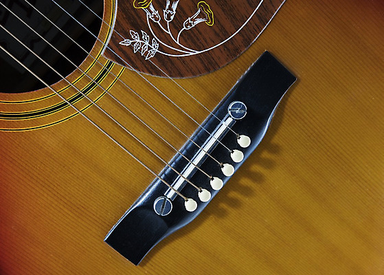 포토 JPG 해외이미지 전통 꽃 줄 음악 나비 백그라운드 부분 조류 여러명 취미 사람없음 목재 어둠 공연 기구 기타 클래식 묘사 오디오 뮤지컬 서쪽 실행 인기 해외202004 해외포토 나무 식물 동물 다수 곤충 컨셉 재료 현악기 문화예술 사람 이벤트 전자제품 방향 파일형식 이미지허브