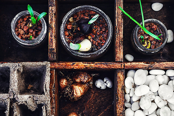 포토 JPG 해외이미지 식물 계절 꽃 잎 농업 채소 씨앗 사람없음 목재 초록색 상자 농장 새싹 정원 흙 봄 성장 벚꽃 선택 냄비 작음 허브 원예 먼지 땅바닥 모종 밭일 해외202004 해외포토 나무 산업 컬러 컨셉 재료 바닥 취미 솥 크기 파일형식 이미지허브