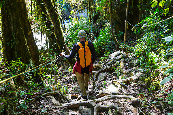 포토 JPG 해외이미지 나무 식물 공원 길 여행 자국 자연 산 매달리기 한명 풍경 야외 초록색 여름 여행객 환경 미국 트래킹 폭포 하이킹 관찰 숲 오솔길 열대우림 지역 내추럴 방법 백패커 산악가 전국 코스타리카 하이커 혼자 해외202004 해외포토 1 계절 공공시설 컬러 북아메리카 모션 레저 사람 중앙아메리카 생태계 파일형식 이미지허브