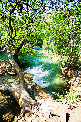 포토 JPG 해외이미지 나무 식물 공원 호수 야생동물 여행 잎 자연 표면 휴가 국립공원 풍경 사람없음 초록색 물 여름 빛 강 햇빛 반사 맑음 수영 산책 거품 하이킹 흐름 나뭇가지 개울 황무지 숲 강의 뿌리 크로아티아 유지 해외202004 해외포토 자연요소 동물 계절 공공시설 유럽 컬러 컨셉 레저 날씨 휴식 태양 수상스포츠 생태계 파일형식 이미지허브