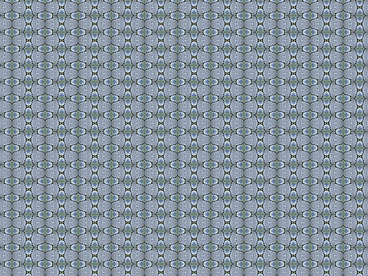 포토 JPG 해외이미지 모양 디자인 꽃 실루엣 별 종이 백그라운드 크리스마스 꽃무늬 패턴 일러스트 벽지 추상 형상 미술 사람없음 그래픽 장식 컴퓨터 유행 견본 줄무늬 수확 골동품 소용돌이 직물 원형 화려 클래식 우아함 실크 그림 복고 정사각형 구식 빅토리아 옛날 회복 스타일 시리즈 해외202004 해외포토 자연요소 도형 식물 기념일 컨셉 무늬 농업 문화예술 촬영기법 전자제품 회오리 파일형식 이미지허브